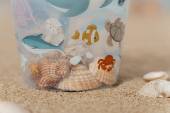 Little Dutch shell bucket Sea Life pludmales spainītis